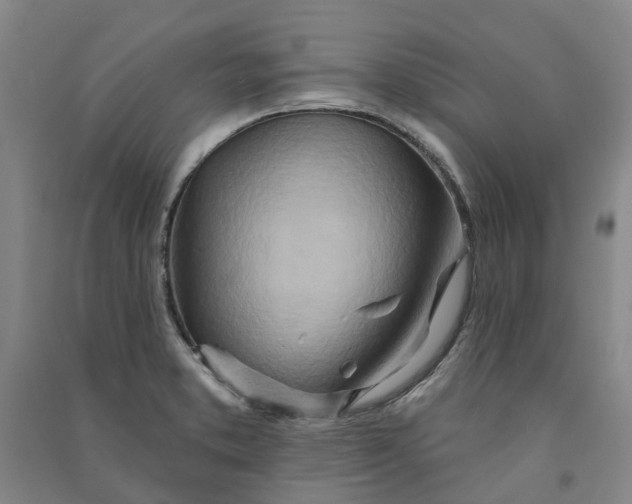 X0000090931373200708201819