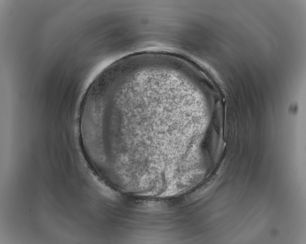 X0000090931375200708201819