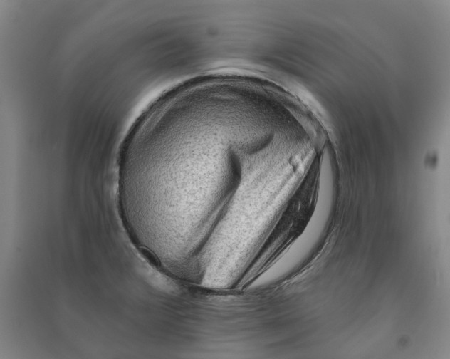 X0000090931376200708201819