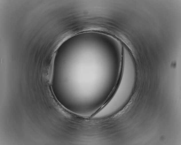 X0000090931377200708201819