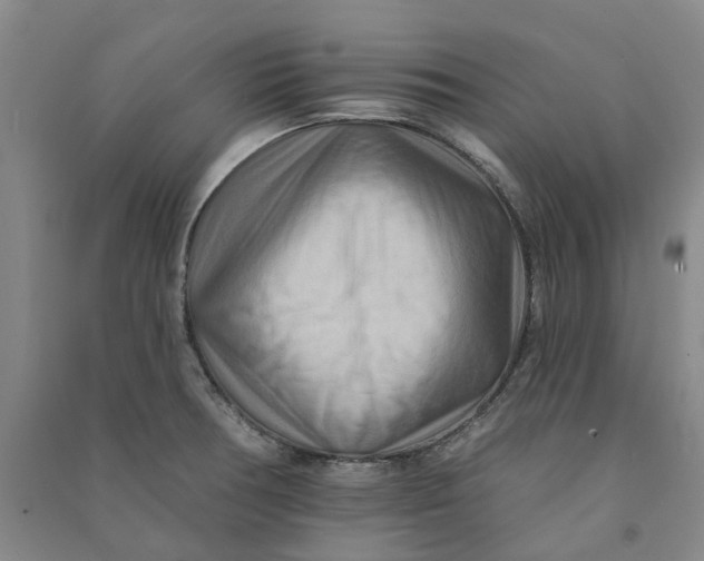 X0000090931378200708201819