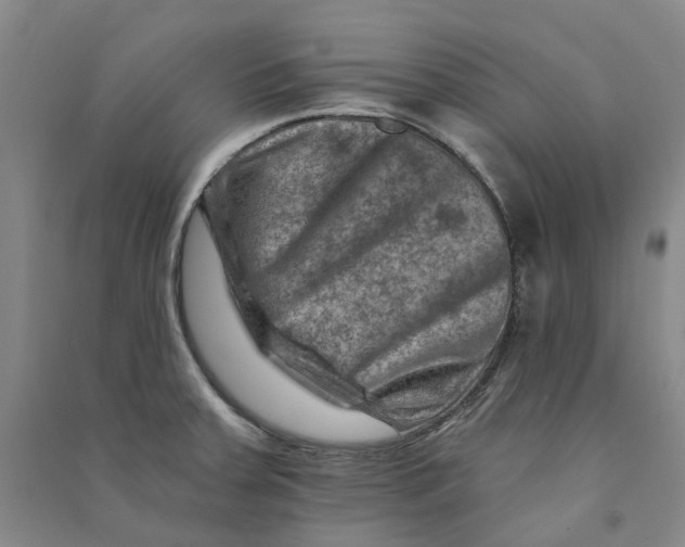 X0000090931379200708201819