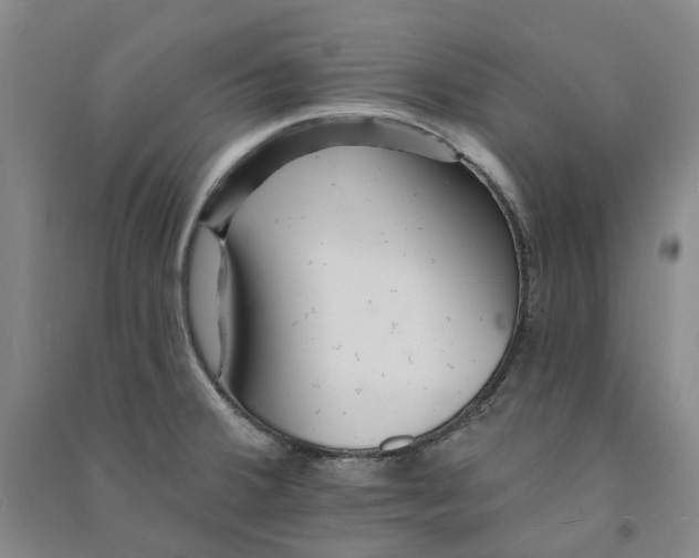 X0000090931380200708201819