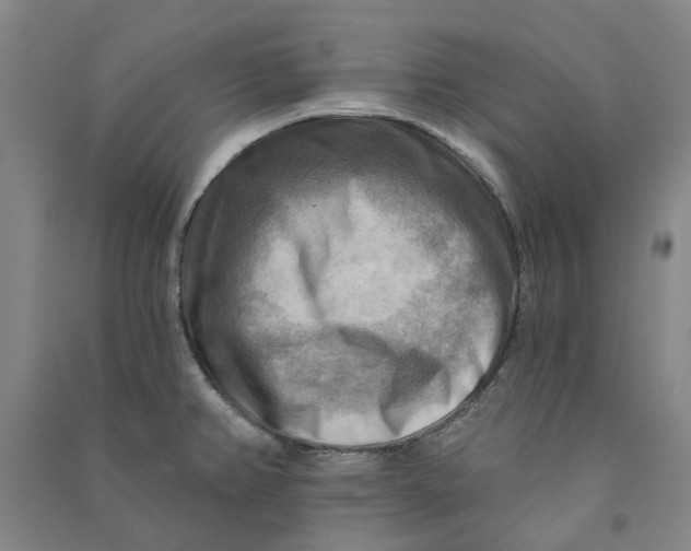 X0000090931382200708201819