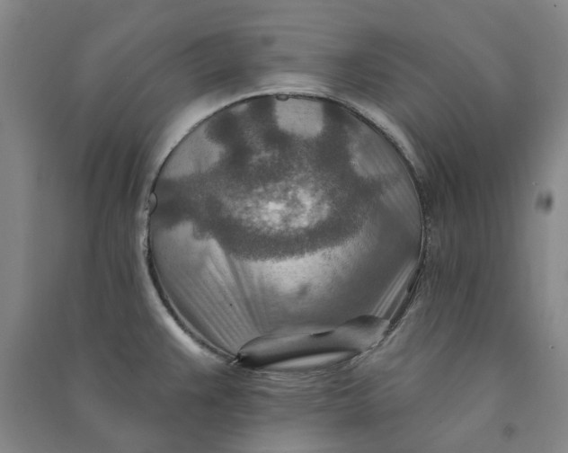 X0000090931383200708201819