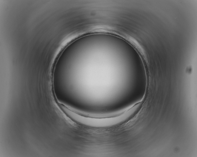 X0000090931384200708201819