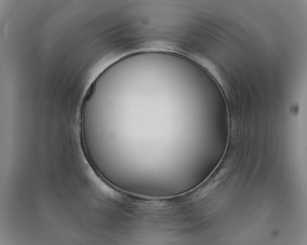 X0000090931387200708201818