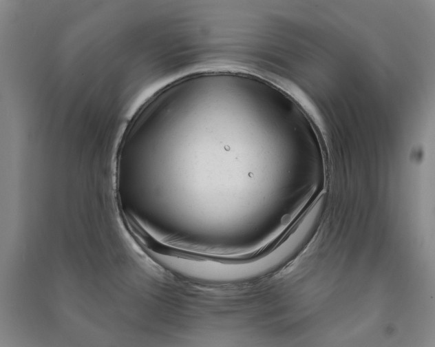 X0000090931388200708201818