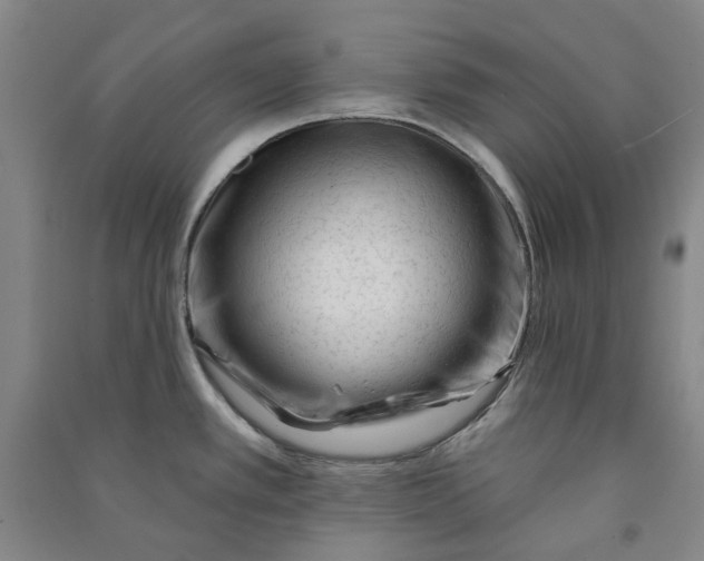 X0000090931389200708201818