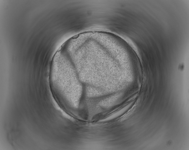 X0000090931390200708201818