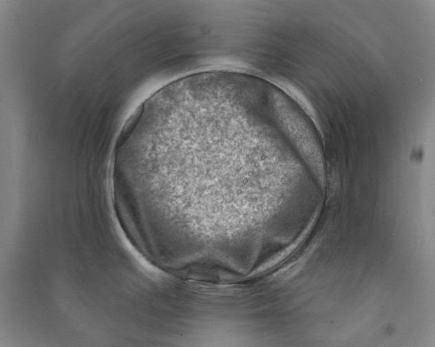 X0000090931391200708201818