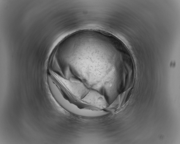 X0000090931392200708201818