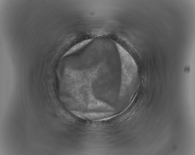 X0000090931393200708201818