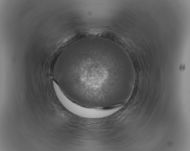 X0000090931394200708201818