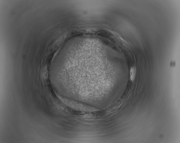 X0000090931395200708201818