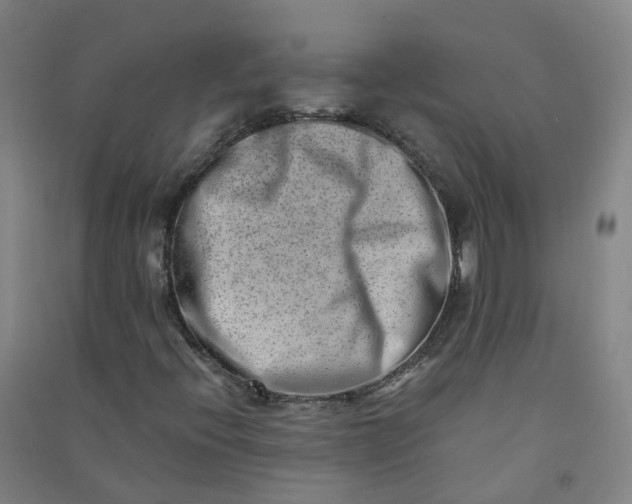 X0000090931396200708201818