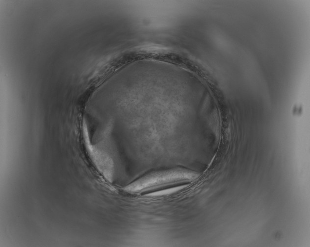 X0000090931397200708201818