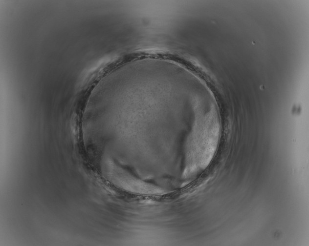 X0000090931398200708201818