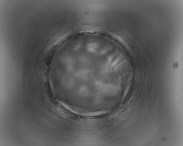 X0000090931399200708201818