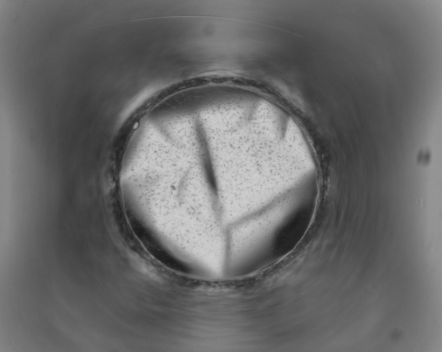 X0000090931400200708201818