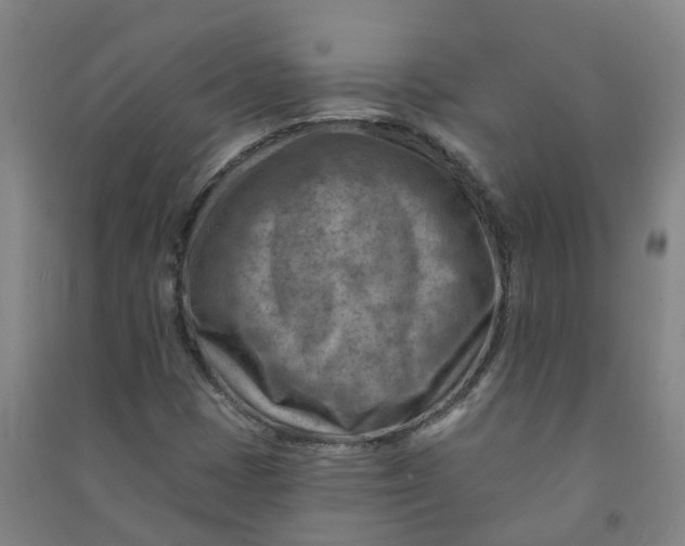 X0000090931401200708201818