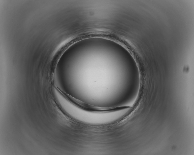 X0000090931402200708201818