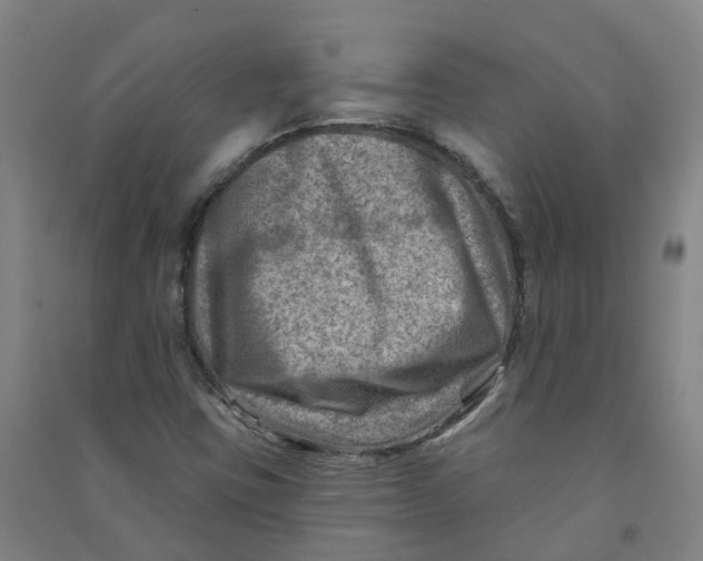 X0000090931403200708201818