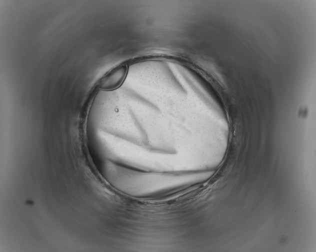 X0000090931404200708201818