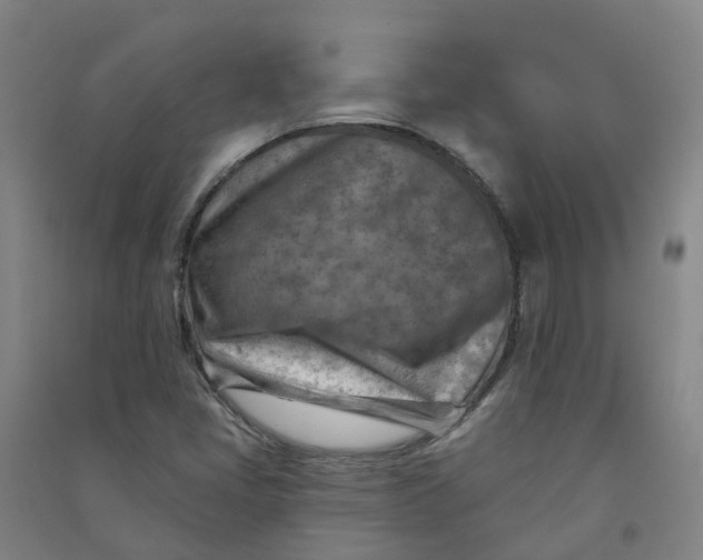 X0000090931405200708201818