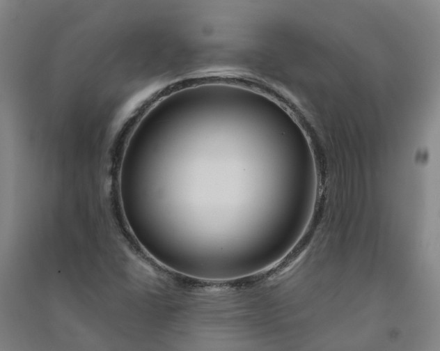 X0000090931406200708201818