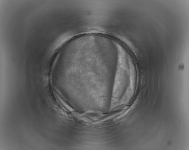 X0000090931407200708201818