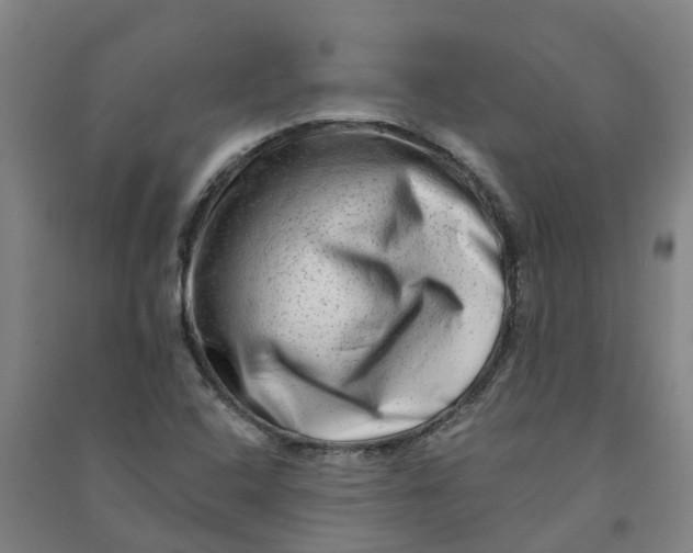 X0000090931408200708201818