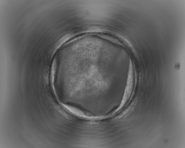 X0000090931409200708201818