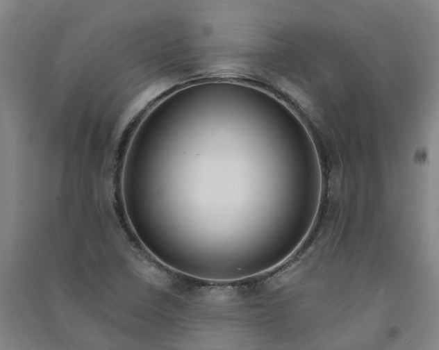 X0000090931410200708201818