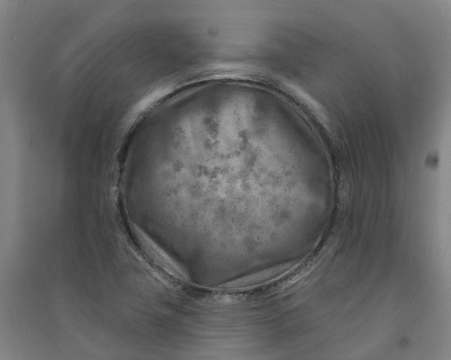 X0000090931411200708201818