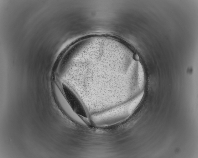 X0000090931412200708201818