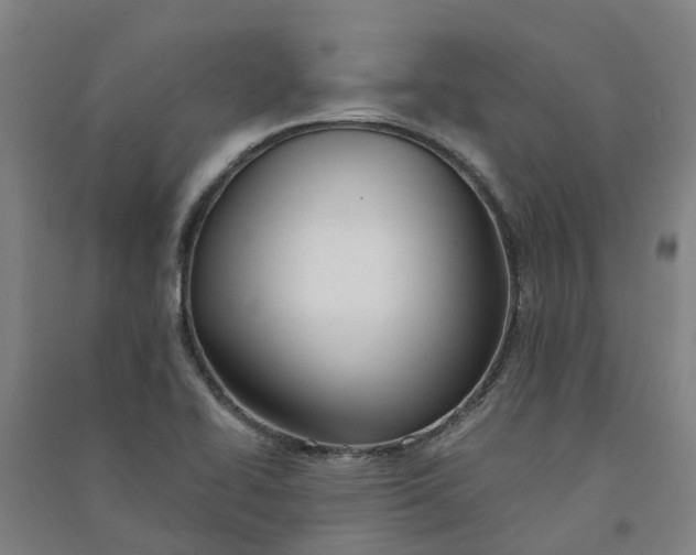 X0000090931414200708201818