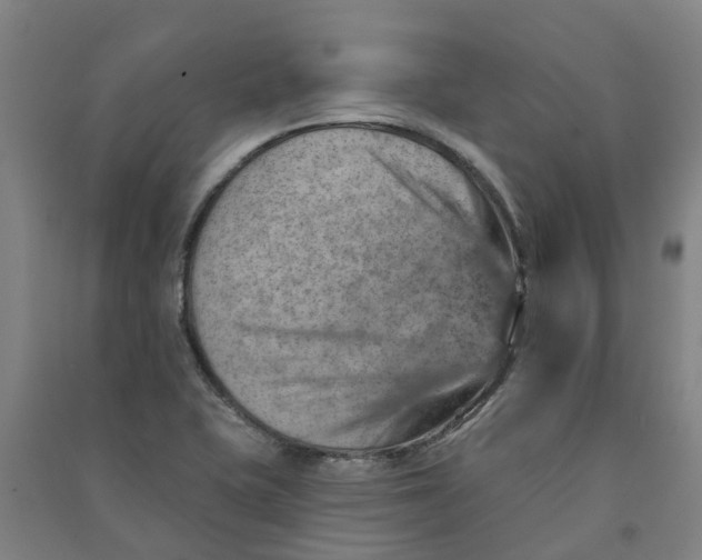 X0000090931415200708201818