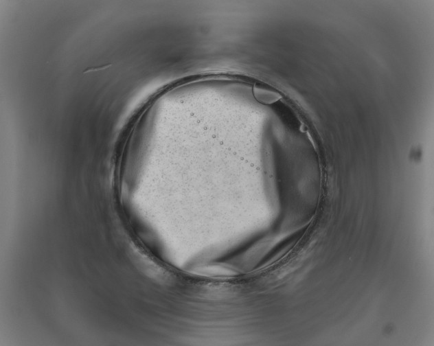 X0000090931416200708201818