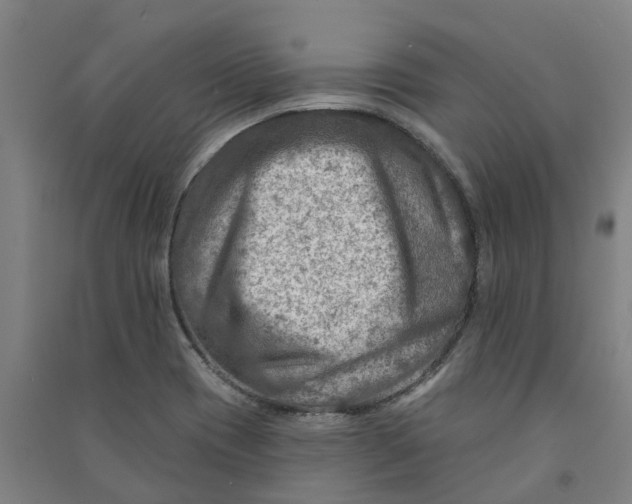 X0000090931417200708201818