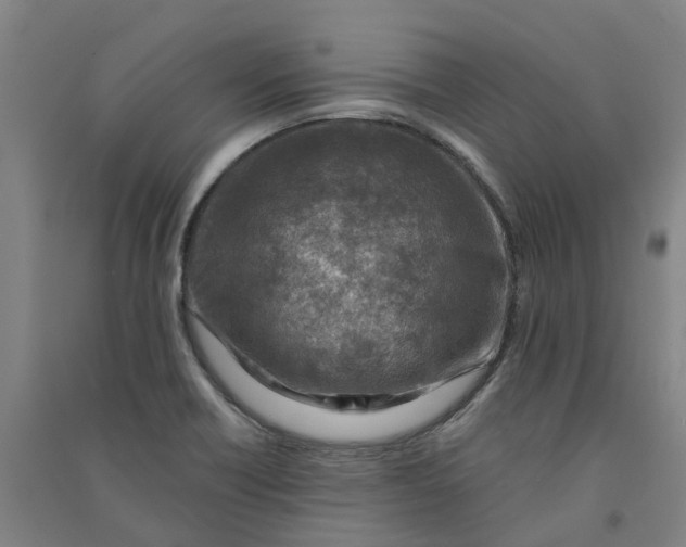 X0000090931418200708201818