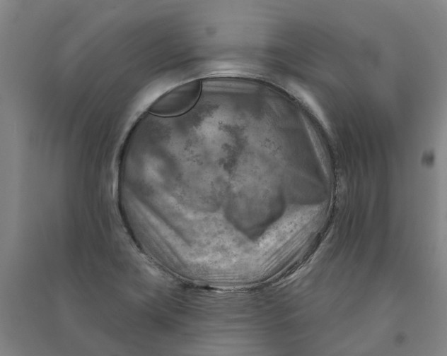 X0000090931419200708201818