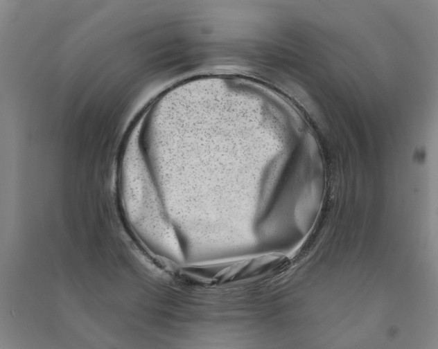 X0000090931420200708201818