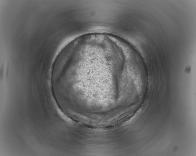 X0000090931421200708201818