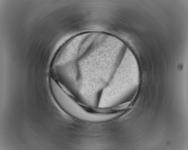 X0000090931424200708201818