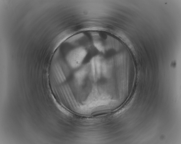 X0000090931425200708201818