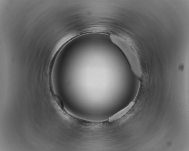 X0000090931426200708201818