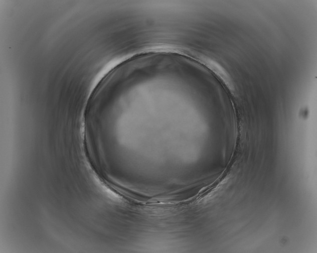 X0000090931428200708201818