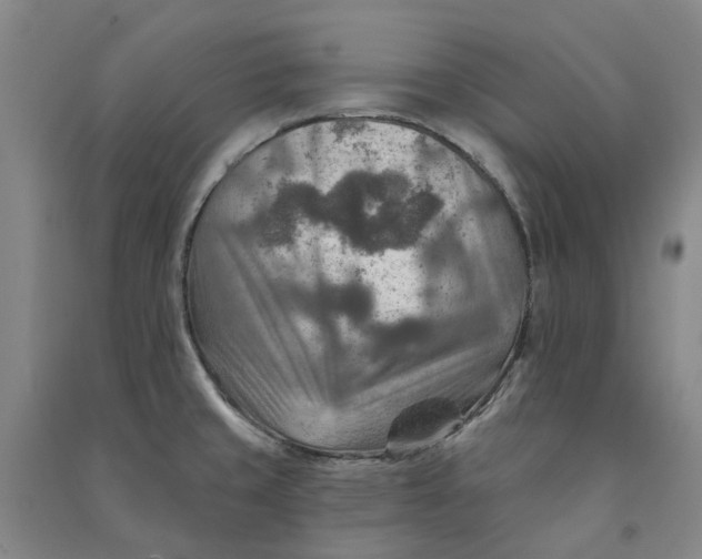 X0000090931429200708201818