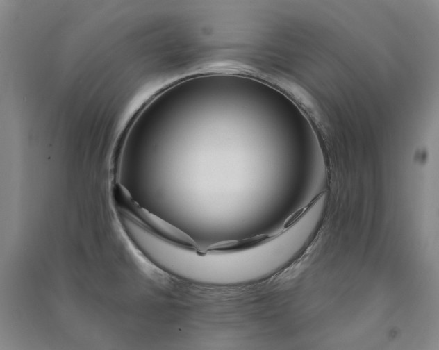 X0000090931430200708201818